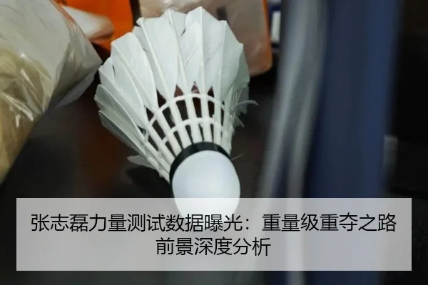 张志磊力量测试数据曝光：重量级重夺之路前景深度分析
